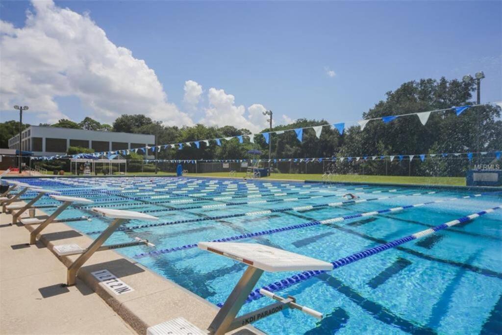 One Bed Suite Near Beaches And Downtown סרסוטה מראה חיצוני תמונה