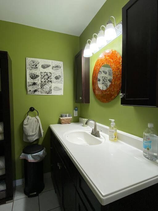 One Bed Suite Near Beaches And Downtown סרסוטה מראה חיצוני תמונה